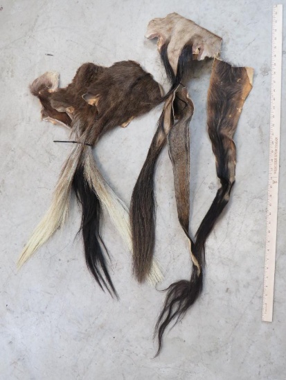 LOT OF AFRICAN TAILS (ONE$) TAXIDERMY