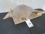 Lifesize Armadillo TAXIDERMY