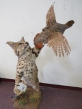 Lifesize Bobcat w/Pheasant TAXIDERMY