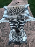 HUGE - NEW African Zebra Hide-Rug, Great Taxidermy 9 foot 4 inches long 72 and 67 inches wide across