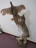 Beautiful Lifesize LYNX W/PHEASANT TAXIDERMY