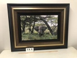 FABULOUS AFRICAN ELEPHANT CANVAS PHOTO By H. HALE -IMAGE IS 24