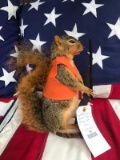 New Taxidermy - Hunting FOX SQUIRREL , complete with Orange vest and Rifle