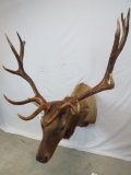 ELK SH MT TAXIDERMY