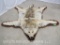 REALLY PRETTY FELTED ARCTIC WOLF HIDE W/SOME DRY ROT TAXIDERMY