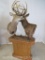 SUPER COOL INTERLOCKED WHITETAIL PED MT TAXIDERMY