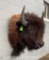 Nice American Bison or Buffalo Shoulder mount, NEW Taxidermy