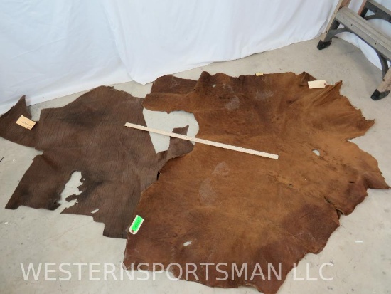 2 ELEPHANT HIDES (2x$) *US RESIDENTS ONLY* TAXIDERMY