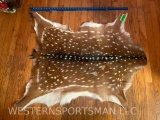 Beautiful, NEW, soft Tanned, Axis Deer Hide TAXIDERMY