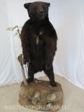 LIFESIZE STANDING BLACK BEAR ON BASE TAXIDERMY