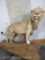 LIFESIZE AFRICAN LION ON BASE *TX RES ONLY* TAXIDERMY