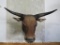 BANTENG SH MT *TX RES ONLY* TAXIDERMY