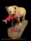 Very Large Life-size Grizzly Bear Taxidermy mount, With a Sock-eye Salmon in its mouth on Base, All-