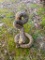 NEW, Striking Rattle snake Taxidermy mount about 10 inches tall x 6 to 7 inches wide, at base...