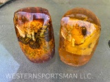 TWO Amber encased, insects, a BUTTERFLY, and a SCORIPON (2x$)