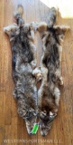Two, Beautiful NEW, Soft tanned Coyote, furs / WHITE bellies ! (2x$) TAXIDERMY