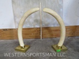 PAIR OF ELEPHANT TUSK *TX RES ONLY* TAXIDERMY