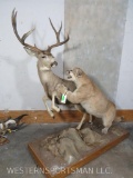 LIFESIZE MTN LION ATTACKING MULE DEER (ONE$) TAXIDERMY