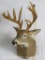 UNCOMMON WHITETAIL SH MT W/REPRODUCTION ANTLERS  TAXIDERMY