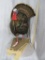 LIFESIZE STRUTTING TURKEY TAXIDERMY