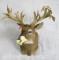 ROUGH NON TYPICAL WHITETAIL SH MT TAXIDERMY