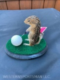 Super Cute, little 13 Lined Ground Squirrel, Golfing Complete with golf club, ball, and Green.
