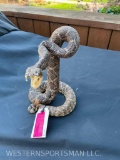 New Striking Rattle Snake complete with rattles ! Great Taxidermy