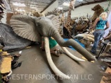 ELEPHANT SH MT REAL SKIN *US RESIDENTS ONLY* TAXIDERMY