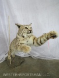 LIFESIZE LEAPING LYNX TAXIDERMY