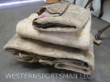 RARE SALTED African Elephant Hide SH MT ODDITY TAXIDERMY *US RES ONLY