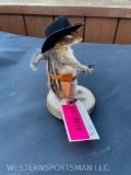 Super Cute little COWBOY Chipmunk, complete with gun and holster ! New taxidermy