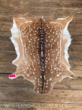 Beautiful, New, soft tanned Axis Deer hide