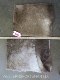 2 Caribou Hide Squares (one $) TAXIDERMY