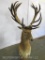 SUPER COOL RED STAG TABLE PEDESTAL TAXIDERMY