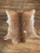 Beautiful, Taxidermy, New, Soft tanned Axis deer hide.