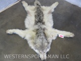 REALLY NICE FELTED ARCTIC TIMBERWOLF RUG W/MOUNTED HEAD TAXIDERMY