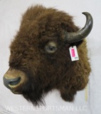 American Buffalo - Bison SH MT Taxidermy