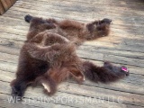 Large Grizzly Bear hide and feet, NO, claws, or head, GREAT FUR, Taxidermy, log cabin, decor