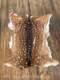 Beautiful, NEW, Axis deer Soft tanned hide GREAT colors and Taxidermy