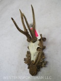 ROE DEER EURO MT ON PLAQUE TAXIDERMY