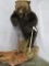 Lifesize Grizzly Bear on Base TAXIDERMY