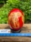 Beautiful, painted Ostridge Egg, with African Big 5 on it... AWESOME work with carved Ironwood stand