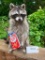 Brand NEW - Cracker Jack Raccoon or Coon, Taxidermy mount, 17 inches tall, about 10 inches wide... C