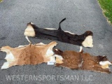 3 Beautiful Soft tanned African Back skins/hides, Sable, Bush Buck, and Impala, 3 x $ Great Craft sk
