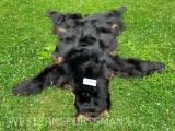 GREAT looking Life-size Black Bear skin, for a full mount or a rug. All Claws, Soft, Great, FUR, mak