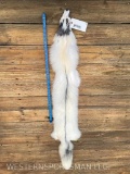 Beautiful, Taxidermy, HUGE Marble Platinum, Ranch Fox fur skin/ hide Large as a Coyote - 63 inches l