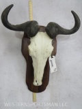 WILDEBEEST EURO MT ON PLAQUE TAXIDERMY