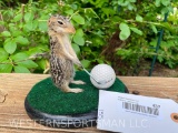 Cute little 13 Lined Ground Squirrel, playing Golf, on Green ! New Taxidermy, 7 inches x 5 inches, b
