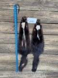 2 New, Soft Tanned Stripped Skunk fur skins, - hides, Taxidermy wall hangings. about 32 inches long