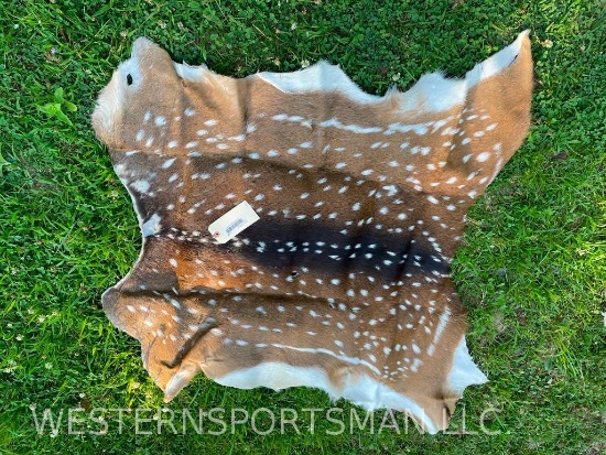 NEW Tanned Axis Deer Hide 46 inches long x 36 inches wide Beautiful Spots Great Taxidermy